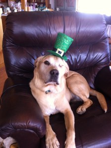 Ronnie wearing his St. Patrick's Day hat