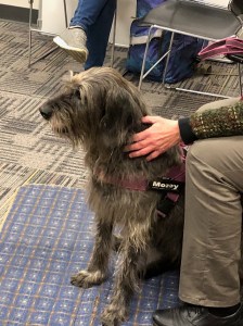 Mozey at PC October 2018