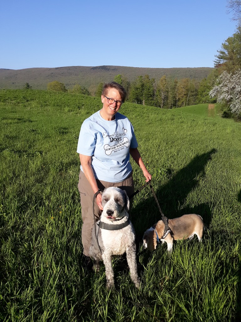 Kate, Darcy and Isabel walking in a field.
